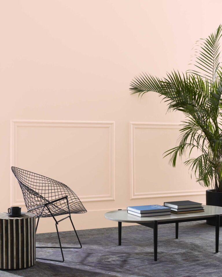 wellness color collection